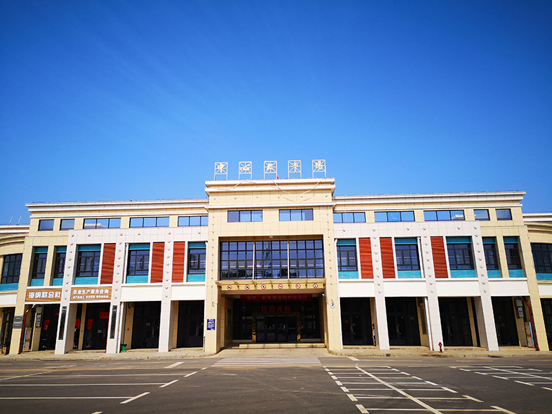 ����(sh��)ƺ���Ј�(ch��ng)